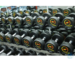 Best Gym in Andheri West Offering Expert Training | Why Not Fitness