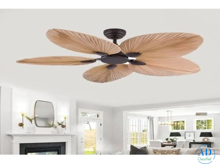 Top Stylish Fan for Living Room