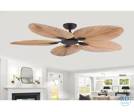 Top Stylish Fan for Living Room