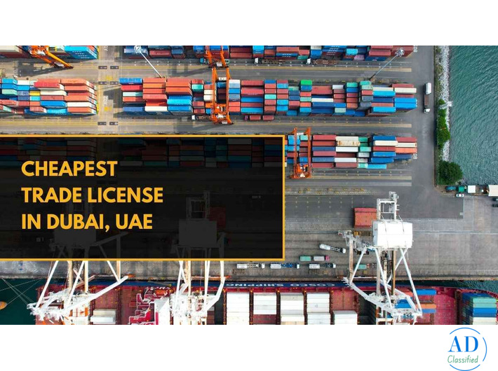 What is the cheapest trade license in UAE?