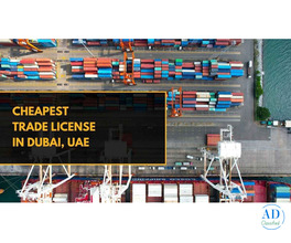 What is the cheapest trade license in UAE?