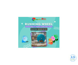 Buy Hamster Running Wheel for Exercise & Entertainment