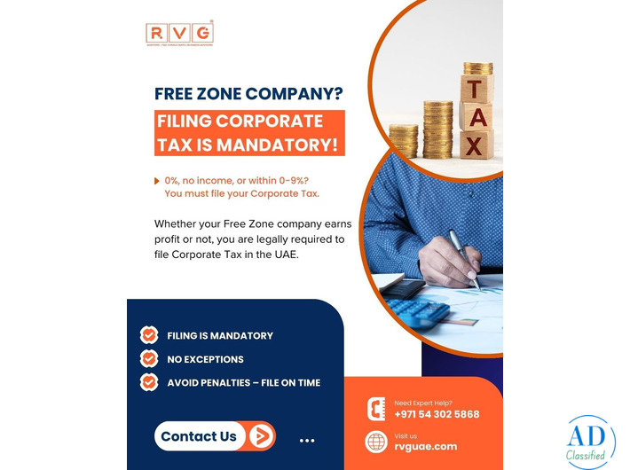 Auditing Services In Dubai, UAE | RVG Chartered Accountants