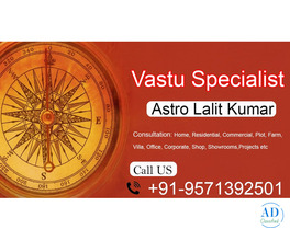Vastu Specialist - Bring Peace and Happiness in Your Life by Vastu Shastra in Astrology