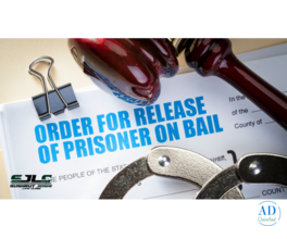 Need Bail Fast? Expert Criminal Lawyer in Indore