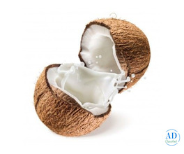 Fresh Coconut Milk Supplier in Malaysia