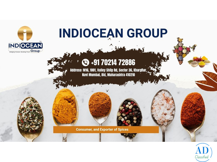 Turmeric powder supplier India