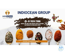 Turmeric powder supplier India