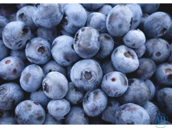 Leading Frozen Blueberries Trader