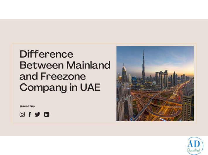 Mainland and Free Zone Companies in Dubai: A Guide