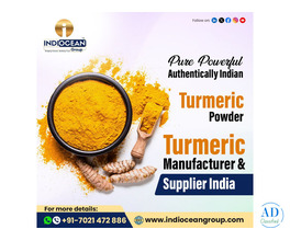 Turmeric powder wholesale supplier India