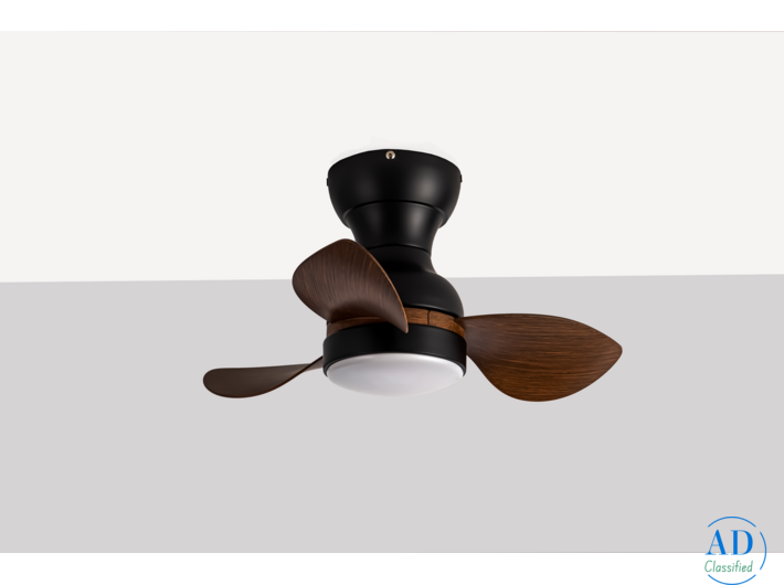 Elegant Designer Silent Ceiling Fan