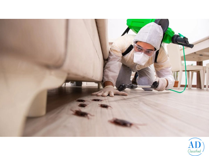 Professional Pest Control Management Company Hyderabad