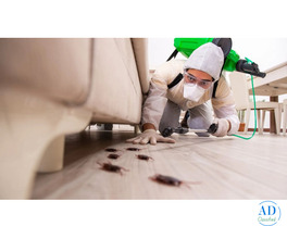 Professional Pest Control Management Company Hyderabad