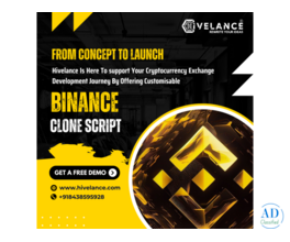 AI-Powered Binance Clone Script Solutions in the USA