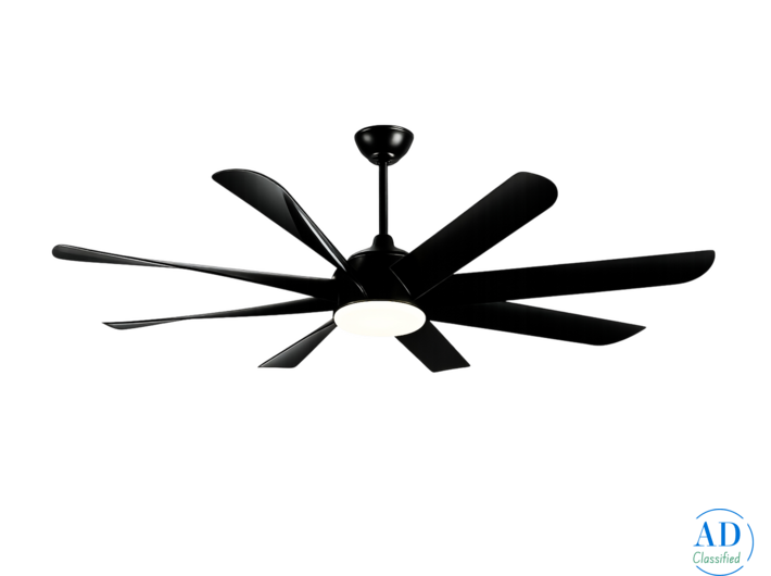 Top Premium Quality Designer Fan