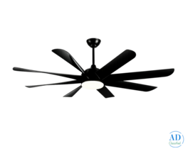 Top Premium Quality Designer Fan