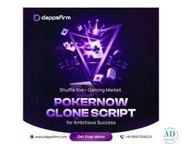 Investor-Focused PokerNow Clone Script – Free Consultation Today