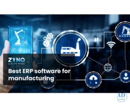 ERP Manufacturing Software with Production & Inventory Control