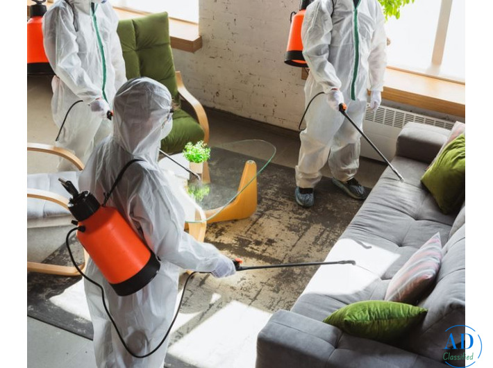 Fumigation Services Against Pests