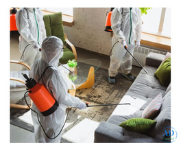 Fumigation Services Against Pests