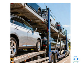 open auto car shipping services in south carolina