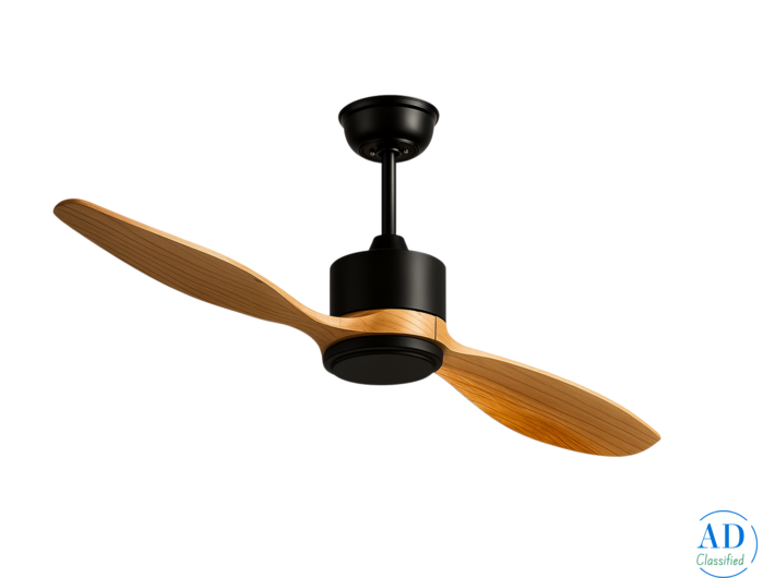 Best Quality Elegant Designer Fan