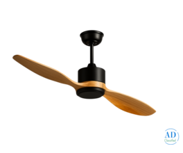 Best Quality Elegant Designer Fan