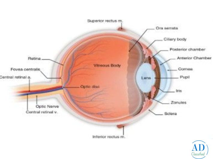 Experienced Eye Surgeon in Andul Howrah – Dristipath Eye Hospital