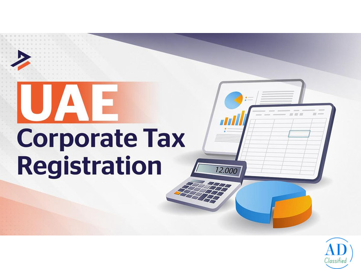 TRN Number UAE: Meaning, Registration Process & Benefits
