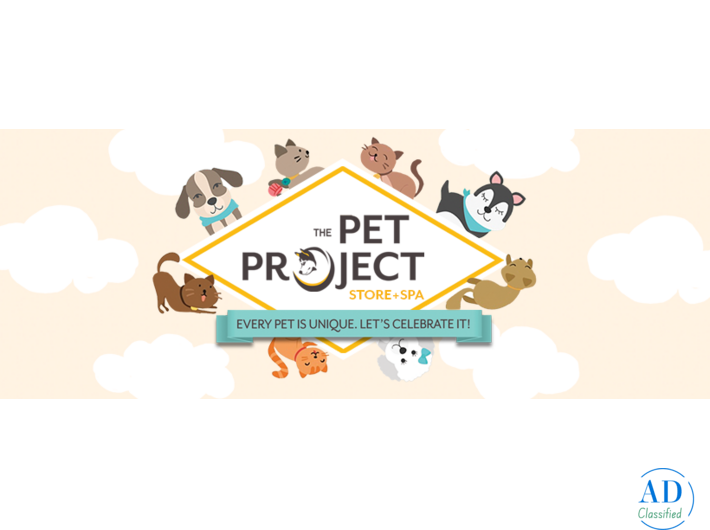 Bangalore’s Most Loved Online Pet Store – The Pet Project