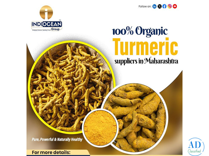 Best turmeric powder supplier Maharashtra