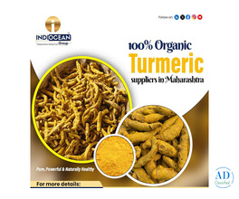 Best turmeric powder supplier Maharashtra