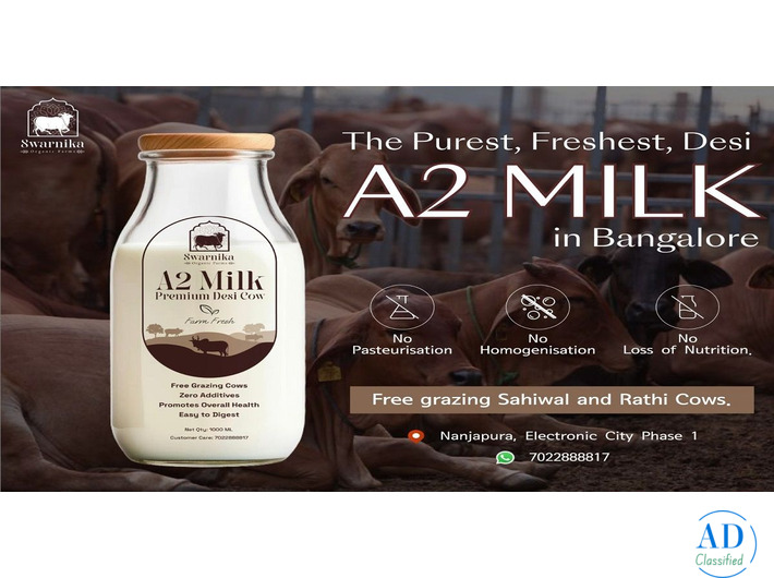 Pure organic cow milk in Bangalore