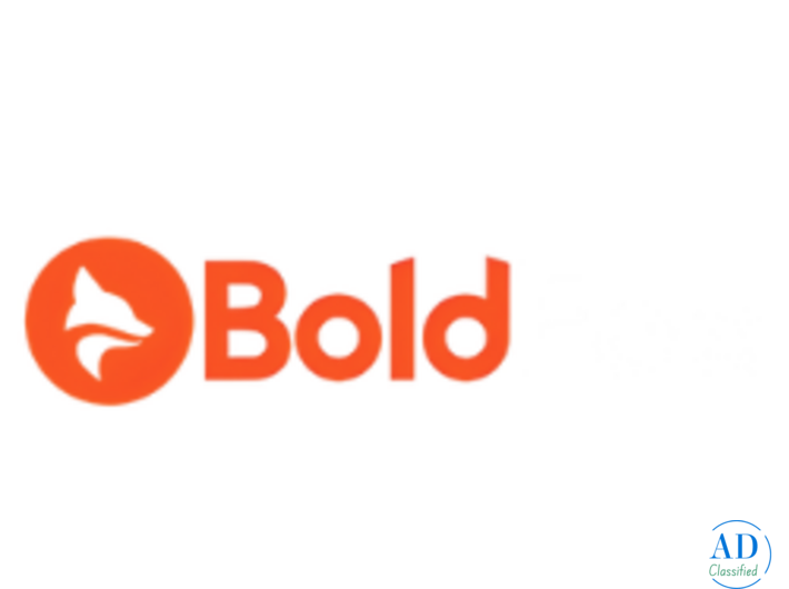 BoldFox Digital Marketing Agency | SEO & Online Growth