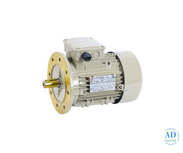 Best High Efficiency Standard Motor in Coimbatore