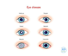 Retina Care Center in Andul Howrah  – Dristipath Eye Hospital