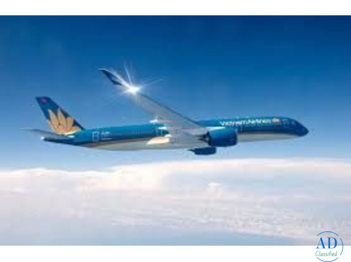 Vietnam Airlines Name Change Policy