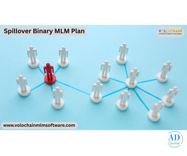Interactive Spillover Binary Software Demo for Smart MLM Business