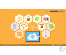 Wireless Mesh Networks and Decentralized Network Control