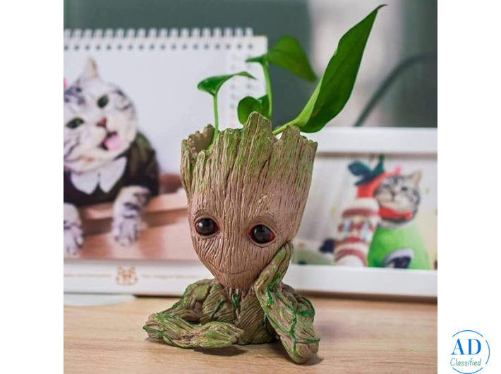 Buy Planters and Pots Online for Stylish Home and Garden Decor