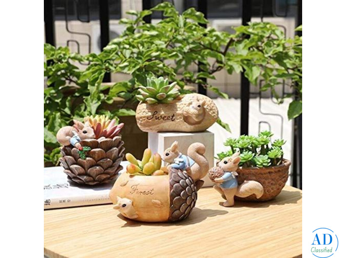 Buy Planters and Pots Online for Stylish Home and Garden Decor