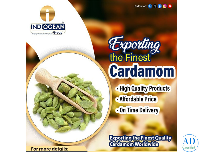 Green cardamom wholesale suppliers in Navi Mumbai