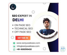 seo expert in delhi