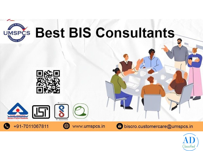 BIS Consultant in Delhi