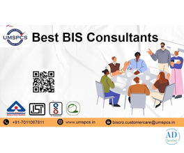 BIS Consultant in Delhi