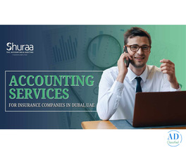 Accounting Services for Insurance Companies in Dubai, UAE
