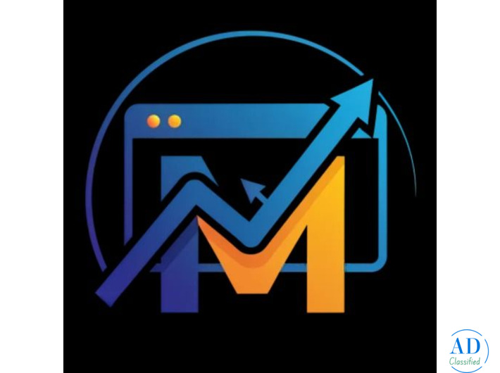 Professional SEO Services in Delhi | Grow Your Business Online