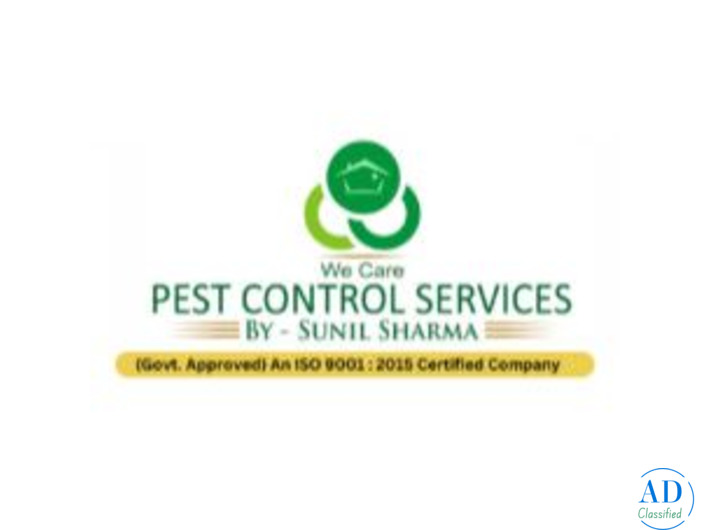 Termite Control Services in Jodhpur | 25+ Years Experience