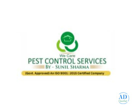 Termite Control Services in Jodhpur | 25+ Years Experience